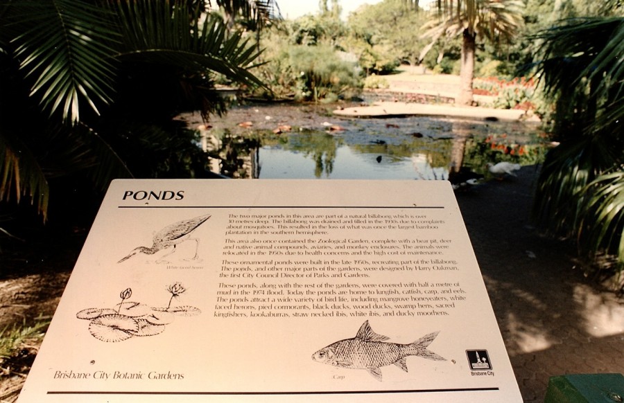 BCC City Gardens Ponds